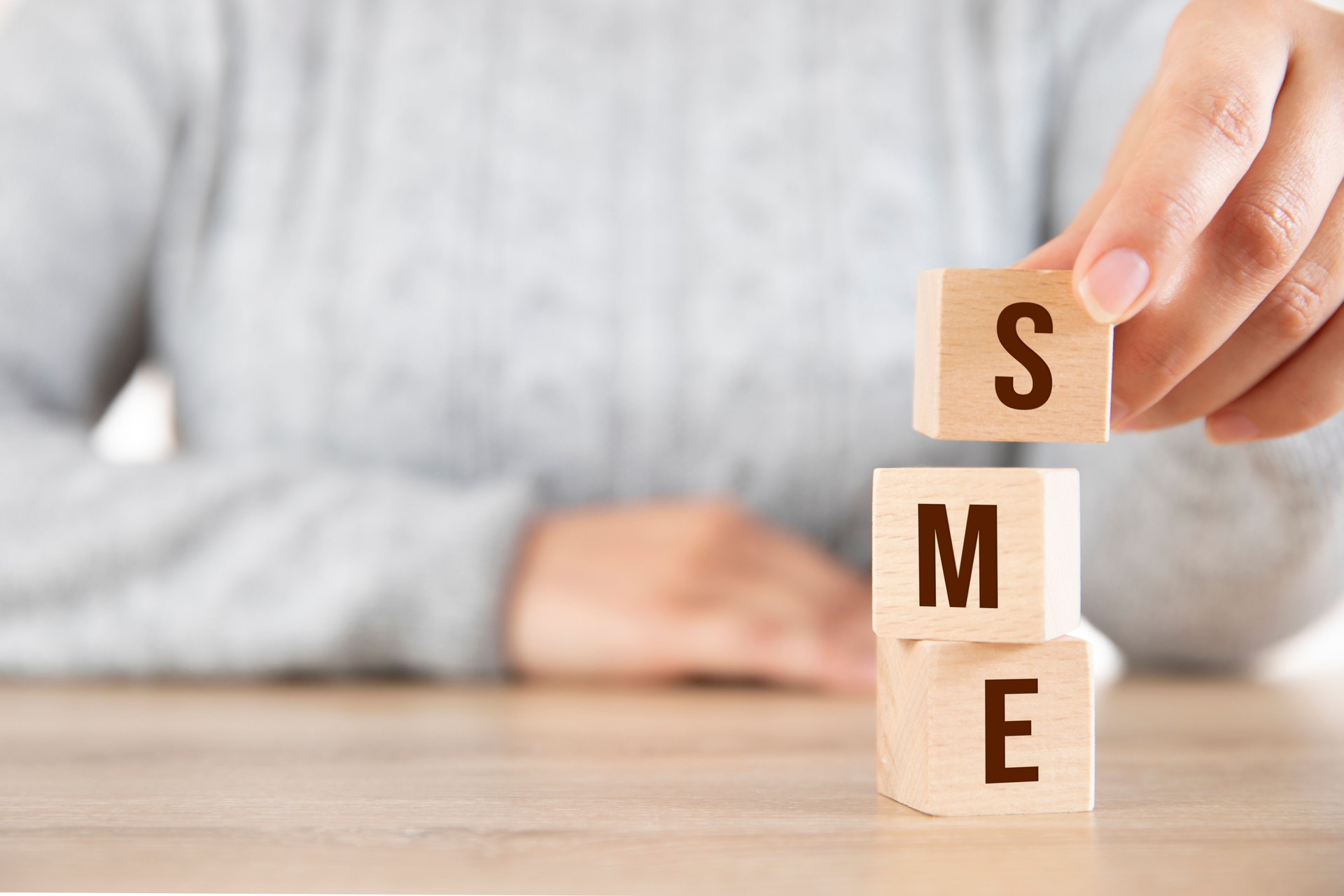 Woman Holds Wooden Blocks with The Word SME Small and Medium-sized Enterprise
